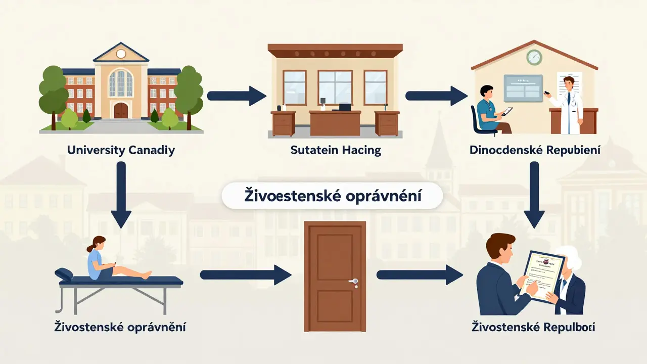 Pět cest k získání živnostenského oprávnění pro maséry v České republice.